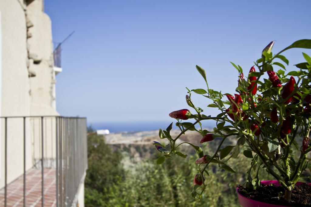 B & B Stillachiara Badolato Marina Exterior photo